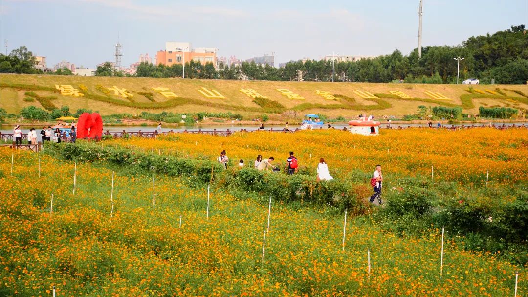 粤佳信公司为佛山七彩花田供应电线电缆