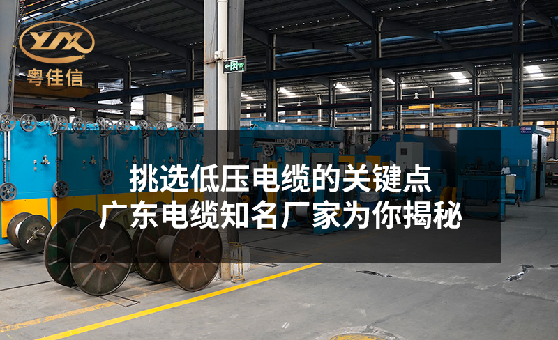 挑选低压电缆的关键点，广东电缆知名厂家粤佳信为你揭秘