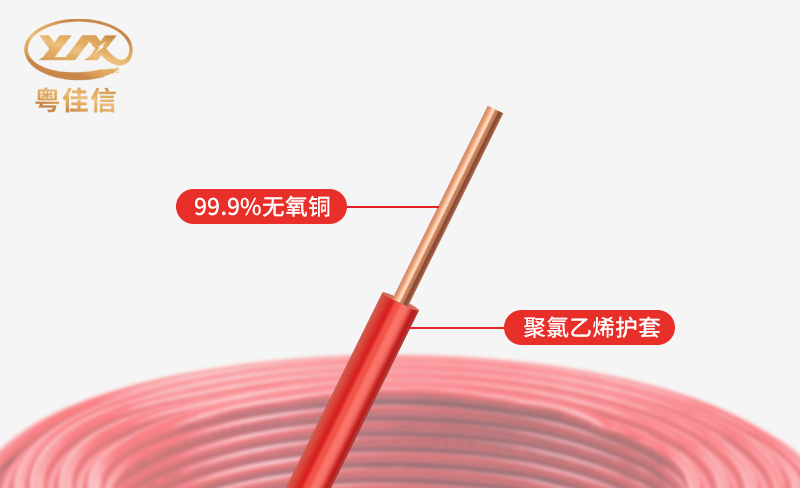 微信图片_20250527142525